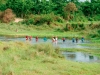 women-fishing-in-chitwan