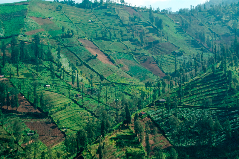 fertile-volcanic-slopes