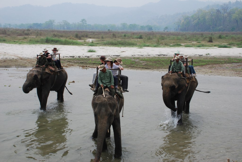 elephant-riding-on-the-terai