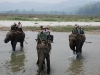 elephant-riding-on-the-terai