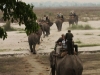 elephant-trek