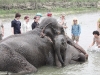 mother-and-baby-having-a-bath-in-the-river-rapti