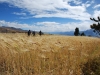 agricultural-landscape-above-huaraz_1024x768