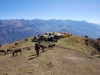 camp-on-hilltop-with-cordilera-negra-on-the-other-side-of-the-valley_1024x768