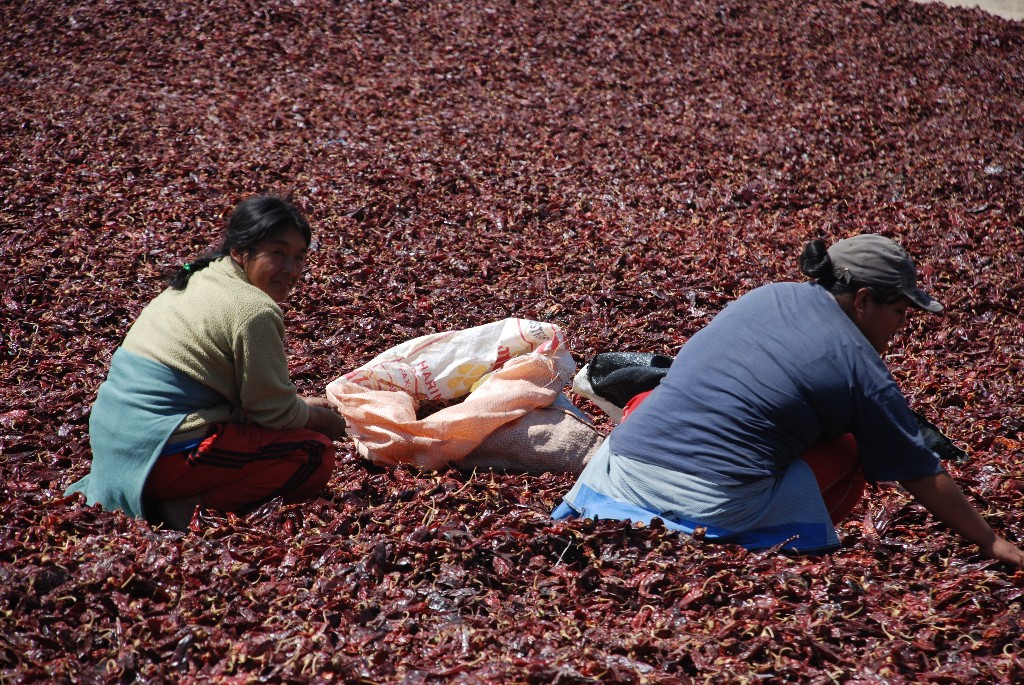 women-turning-the-drying-chilis-over_1024x768