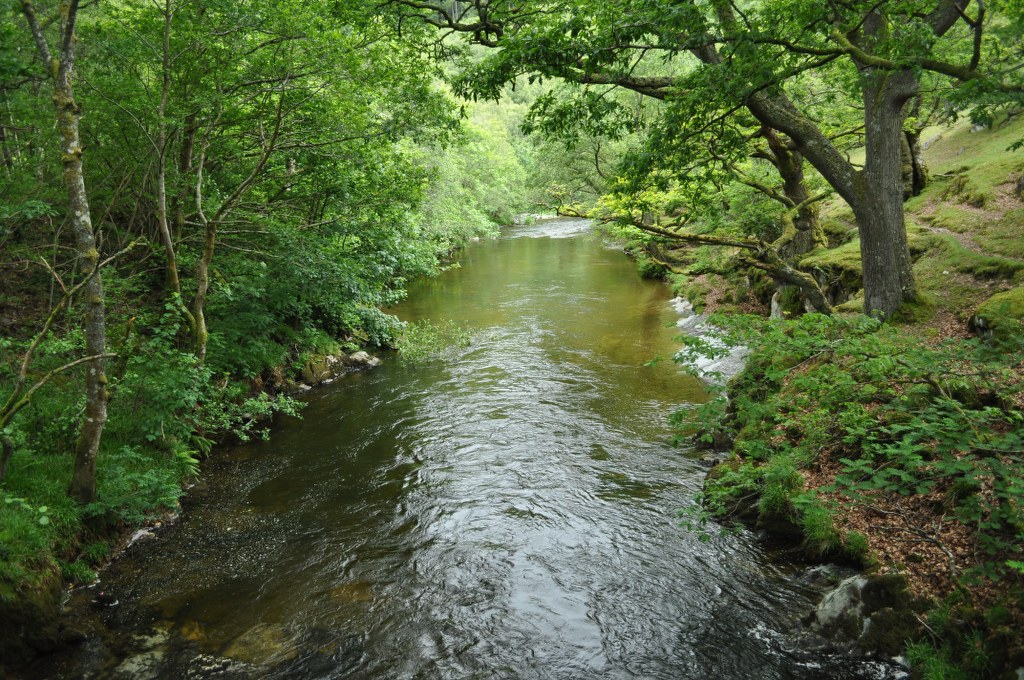 idyllic-river