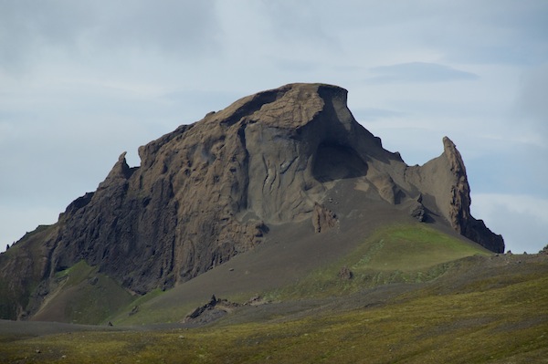 Rhino? Unicorn? Scarab Beetle?