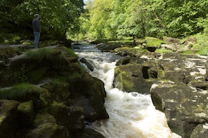 The Strid