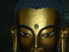 buddha-in-manali-temple