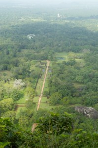 Looking down upon the gardens, the jungle beyond and the Buddhist statue