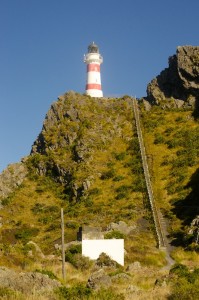 Cape Palliser