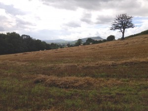 The harvest in with Blorenge and the Skirrid 