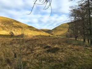 The route up from lunch