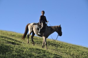 Nomadic boy on his horse