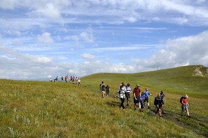 Setting out for the Kok-Kiya Gorge