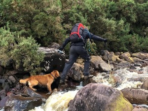 It is not easy crossing a river on wet, slippery stones while controlling an energetic dog