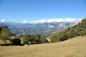 Tantalisingly beautiful