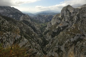Looking into the Desfiladero De La Hermida Gorge