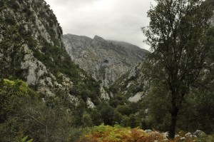 The descending route