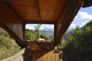 A view from an abandoned ruin
