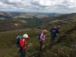 Preparing to leave after "second" lunch