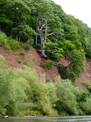 Losing battle (Photo - Claire Cox)