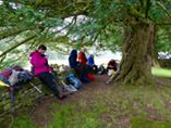 Lunch under the yews at Capel-y-ffin