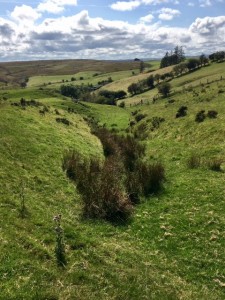 The source of the River Teme