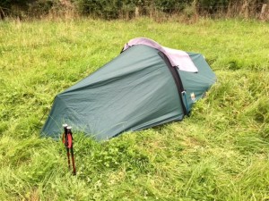The long grass of Panpuntan Farm