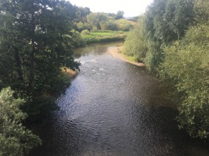 The Teme at Stanford Bridge