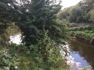The confluence of the Teme with the Severn