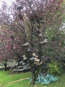 A shoe tree!