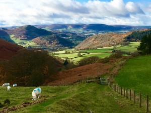 Looking along Offa's Dyke