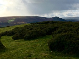 The Hergest Ridge